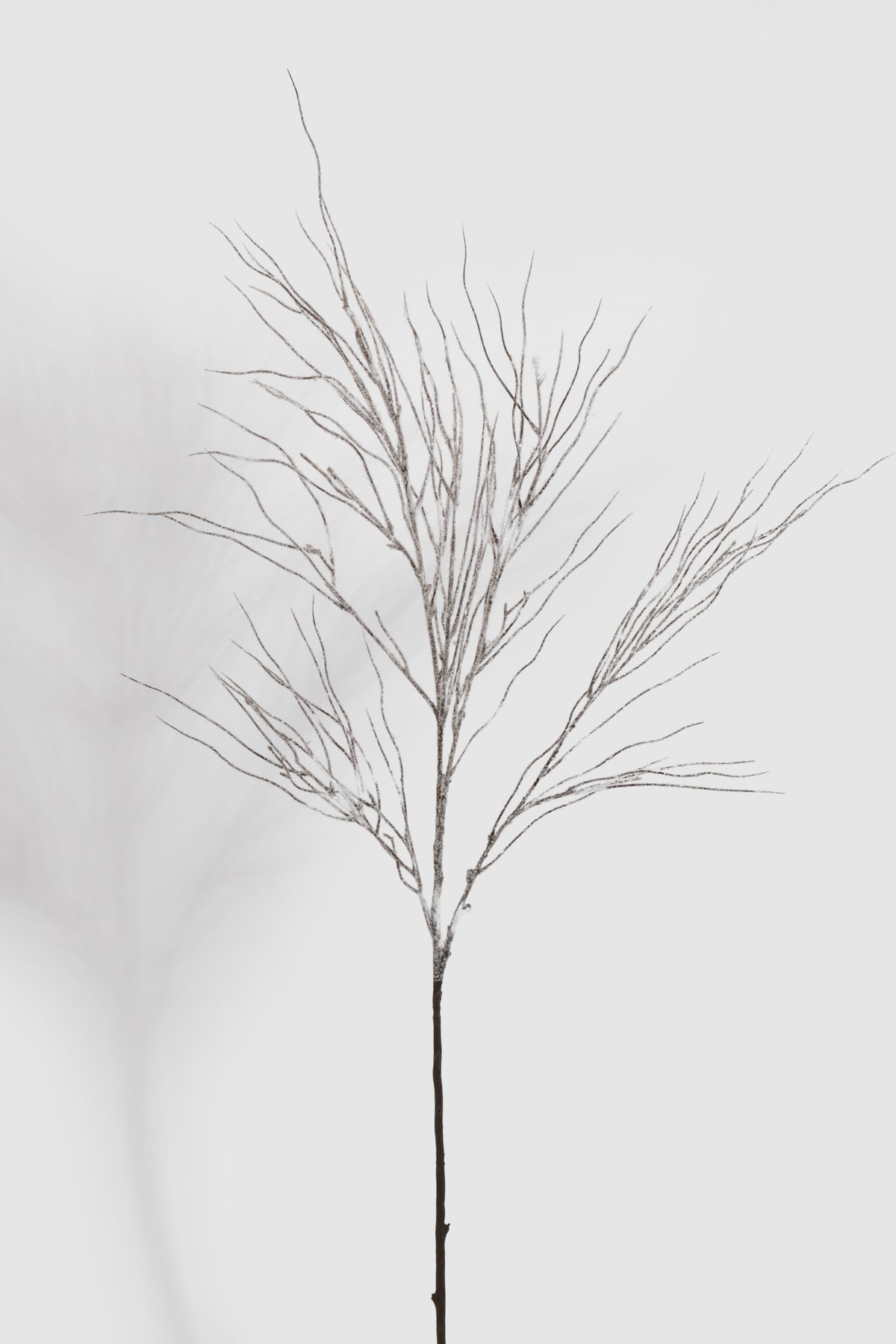 46" Snowed Twig Spray White/Brown