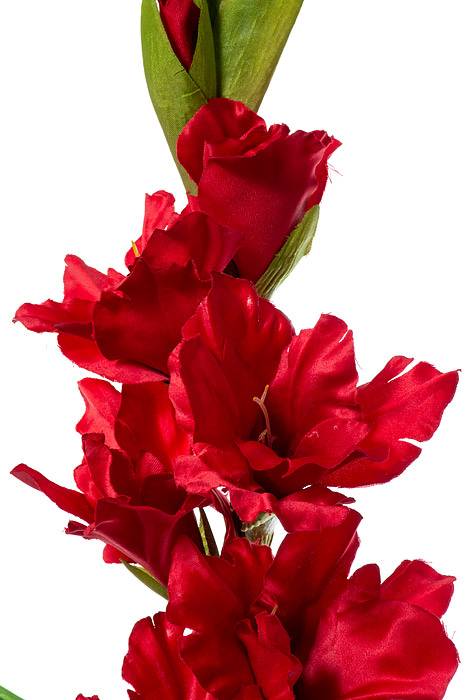 36" Silk Gladiolus Spray Red