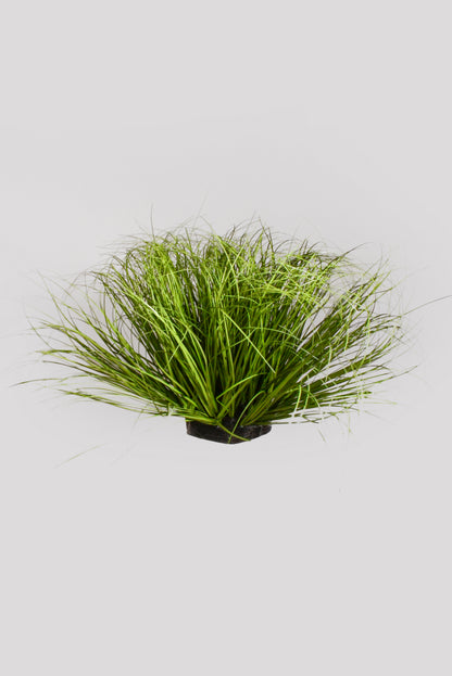 14" Artificial Grass Bush Green