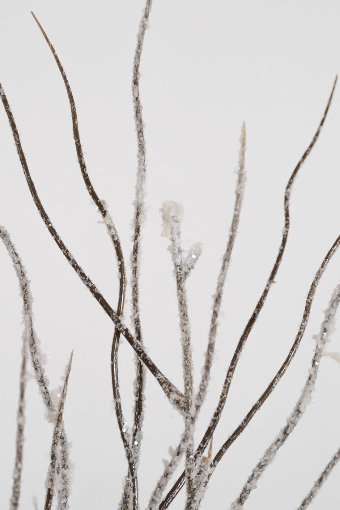 46" Snowed Twig Spray White/Brown