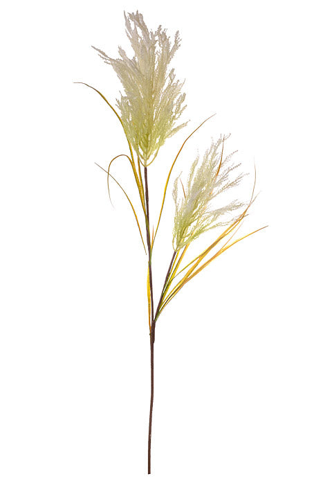 49" Pampas Grass Spray Cream
