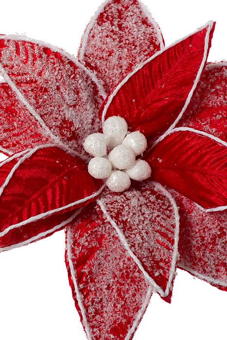 28" Frost Velvet Poinsettia Stem Rdwh