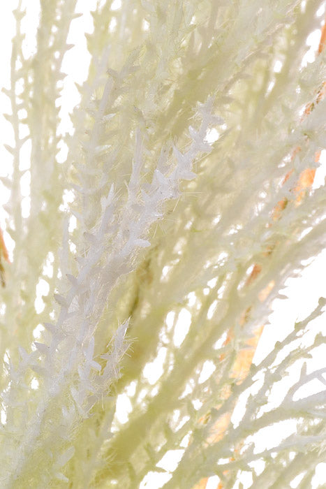 49" Pampas Grass Spray Cream