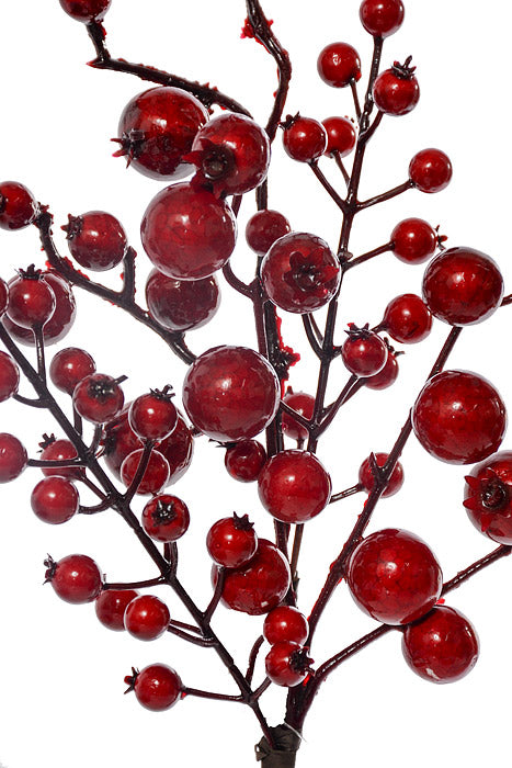 15" Water Proof Mixed Size Berry Pick Red