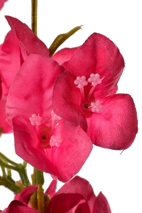 44&quot; Bougainvillea Spray Fuchsia Two Tone