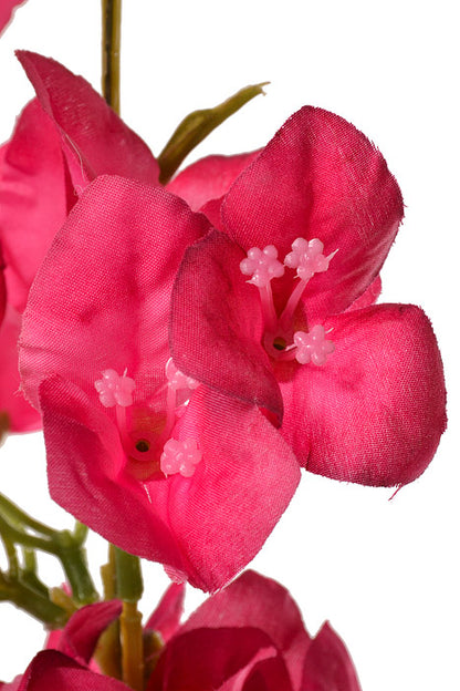 44" Bougainvillea Spray Fuchsia Two Tone