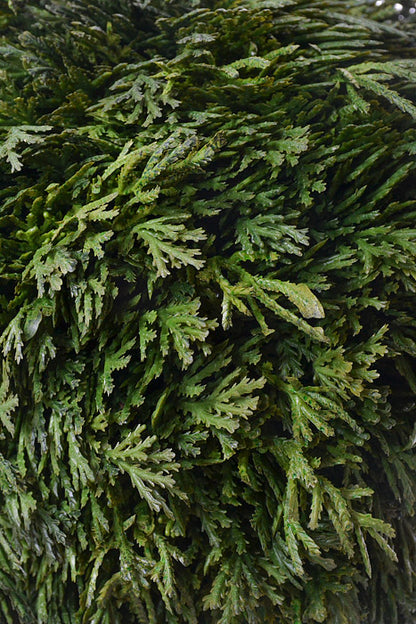 8" Real Touch Cedar Ball Green