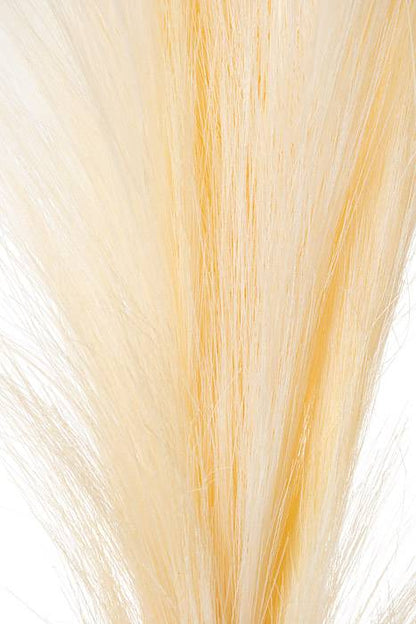 45" Nantucket Grass Plume Cream
