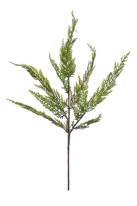 24" Real Touch Lebanon Cedar Spray Natural Green