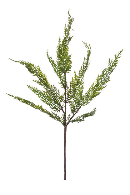 24" Real Touch Lebanon Cedar Spray Natural Green