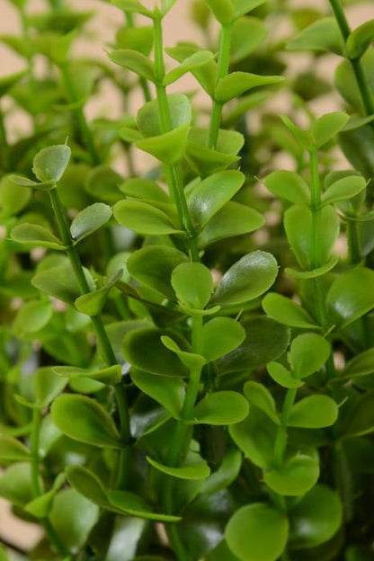 12" Plastic Eucalyptus Bush Green