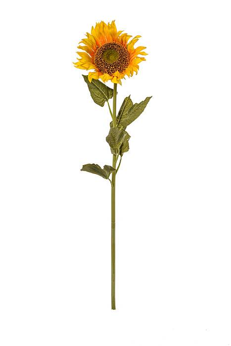 43" Single Sunflower Yellow