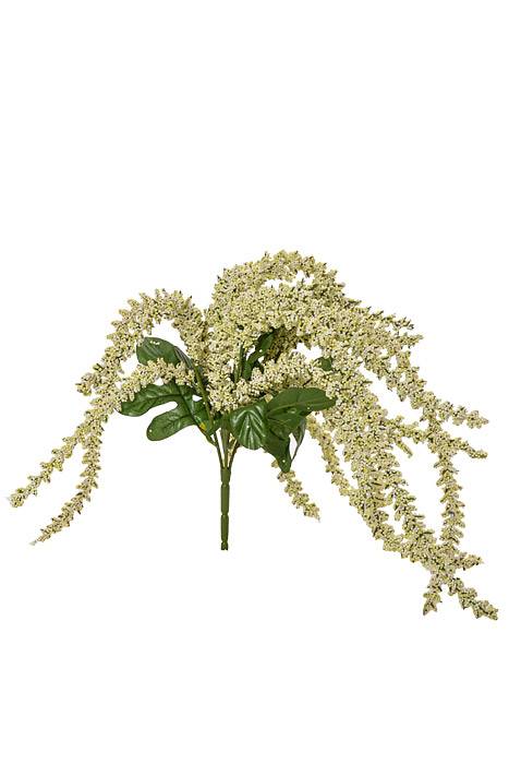 26" Astilbe Hanging Bush Cream/green