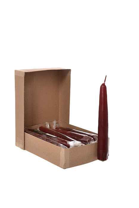 6" Patrician Taper Burgundy Box/12