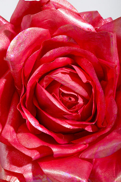 7" Shimmer Rose with Clip Hot Pink