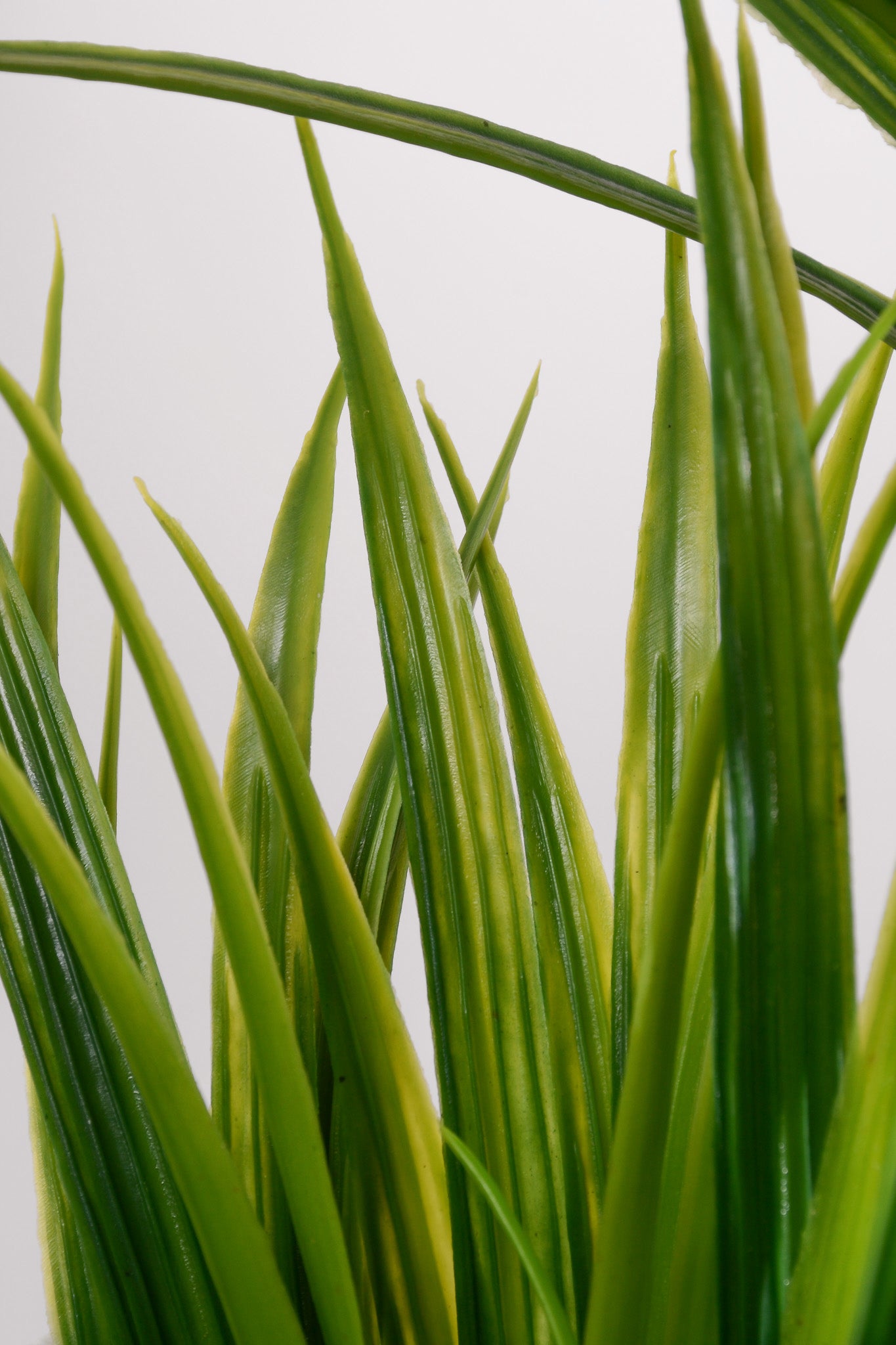 5Ft Grass Tree Branch Green