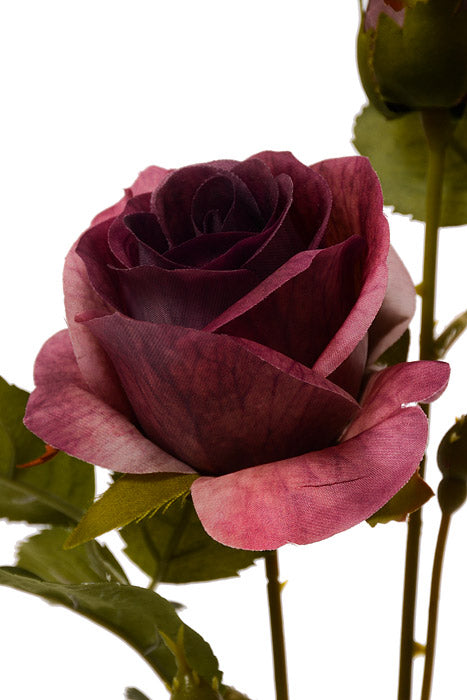 24" Silk Rose Spray Eggplant