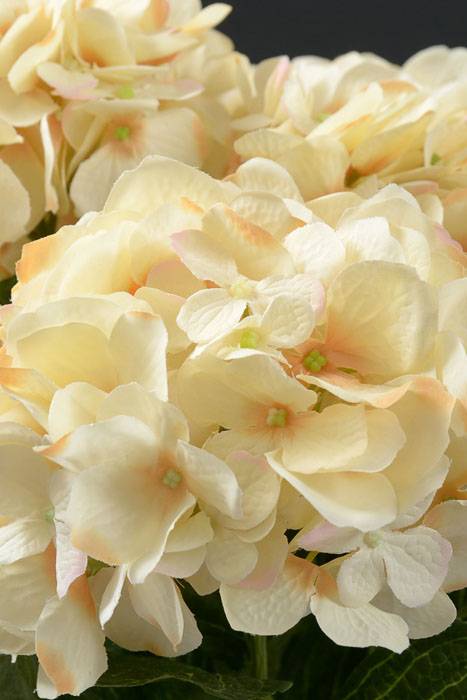 20" Silk Hydrangea Bush Beige