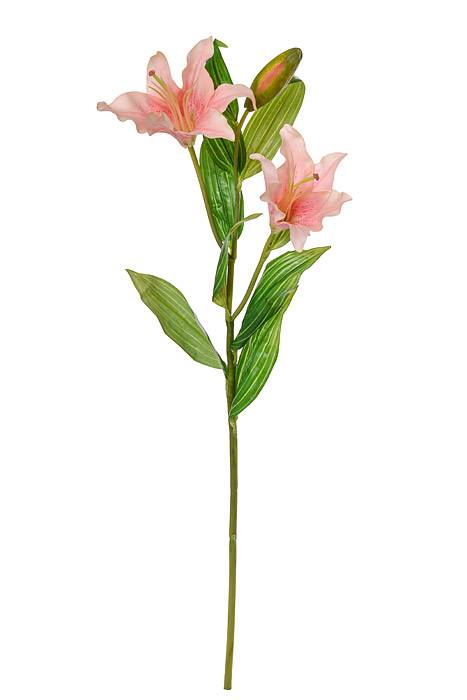 29.5&quot; Silk Lily Spray Pink