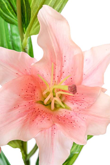 29.5&quot; Silk Lily Spray Pink