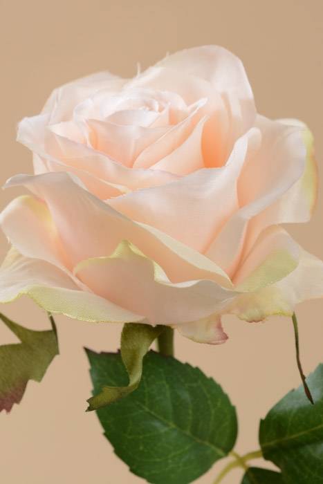 17.5" Open Rose Bud Spray Apricot
