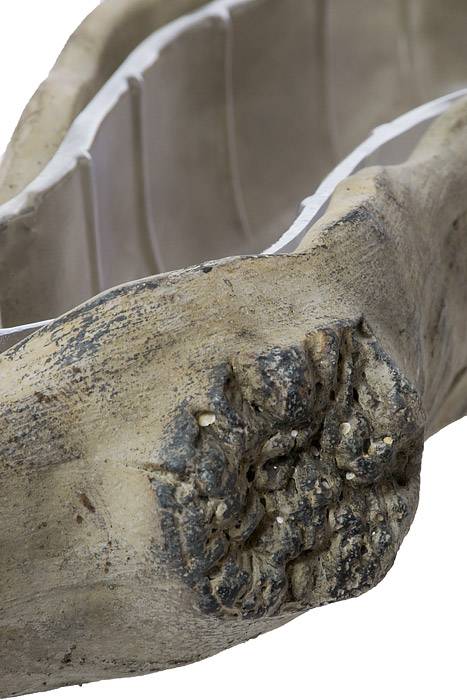 20.5" Rectangle Cement Tree Log Design Natural