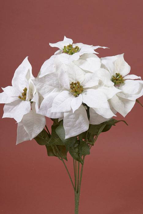 20" Poinsettia Bush White