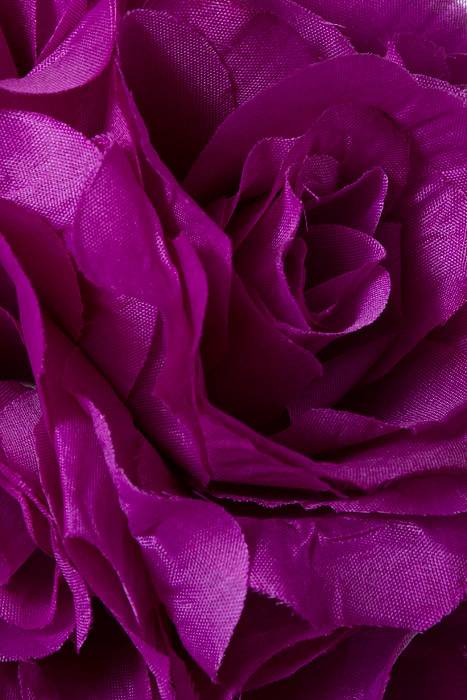 6&quot; Rose Ball W/ribbon Purple