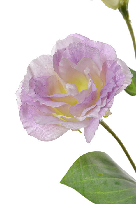 30" Silk Lisianthus Spray Lavender/Two Tones
