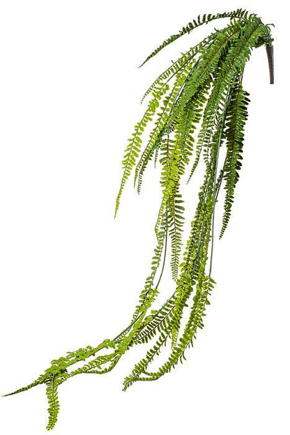 50" Fern Hanging Bush Green