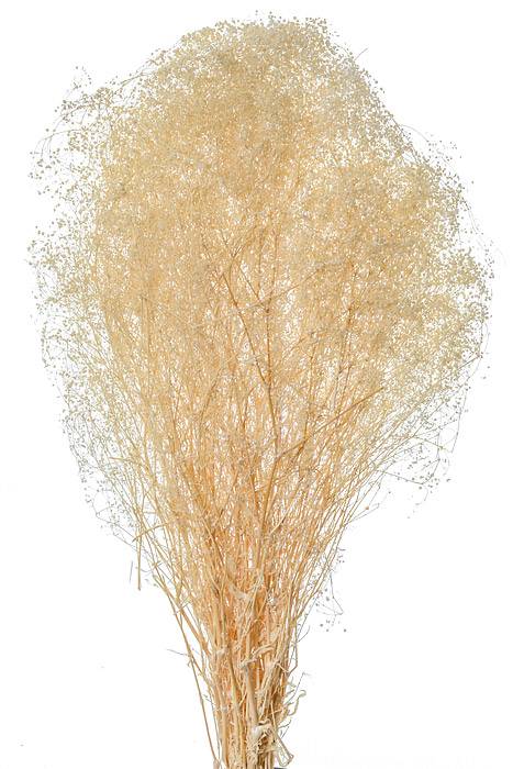 Stardust Gyp. 4oz. Bleached Pkg