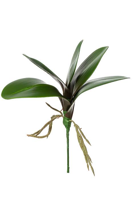 10" Phalaenopsis Leaf Cluster Green