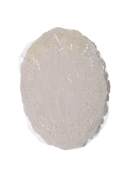 5" Round Paper Doilies White Pkg-100