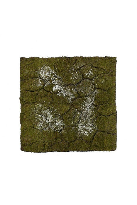 20 x 20" Frosted Moss Sheet Mat Green/White Frosted