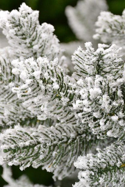 9Ft X 66" Flocked Pine Tree Snow
