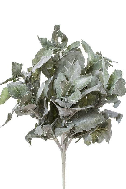 16.5" Dusty Miller Bush Gr/fk