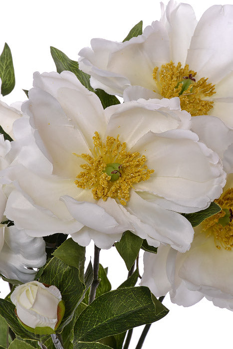 23" Silk Magnolia Bush Cream