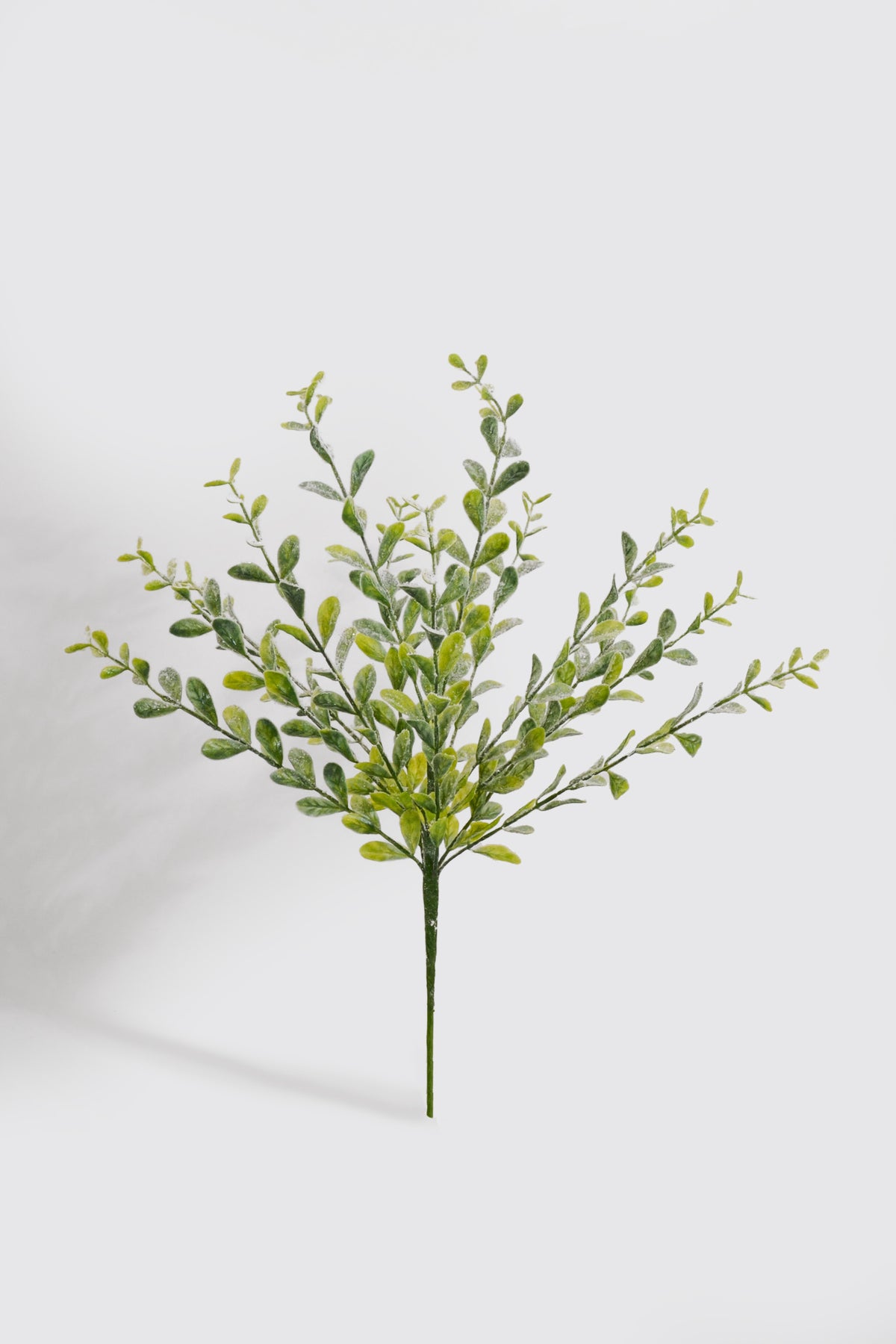 18" Plastic Snowy Boxwood Bush Green/White