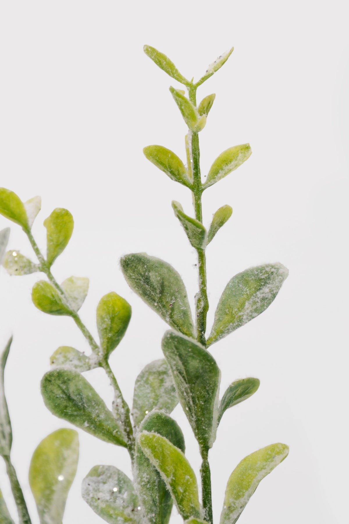 18" Plastic Snowy Boxwood Bush Green/White