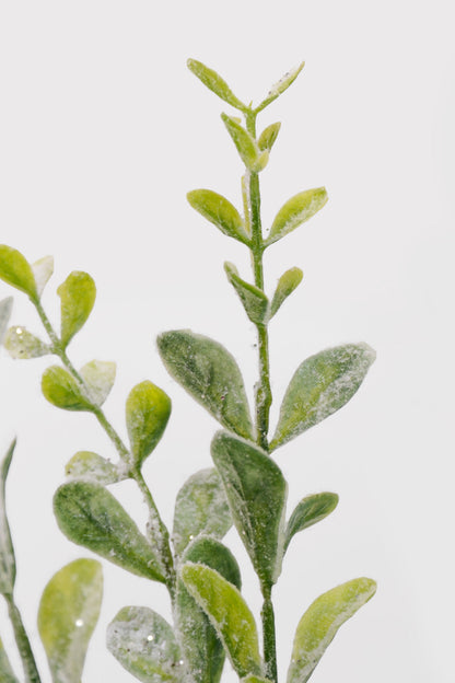 18" Plastic Snowy Boxwood Bush Green/White
