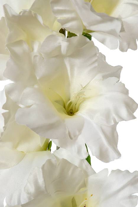 36" Silk Gladiolus Spray White