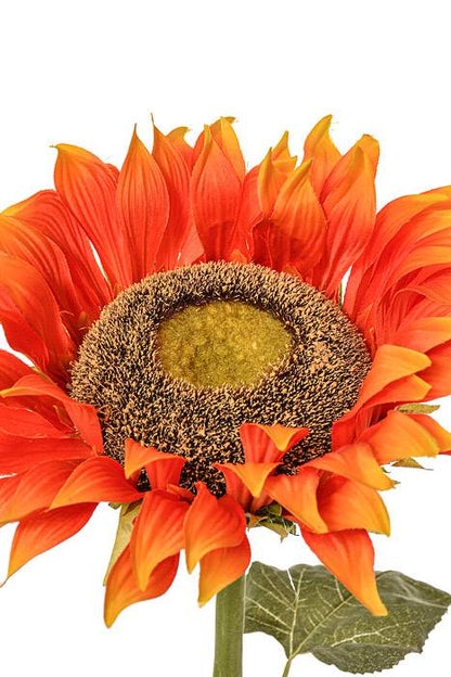 43" Single Sunflower Orange