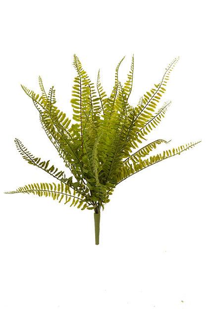 22" Boston Fern Green
