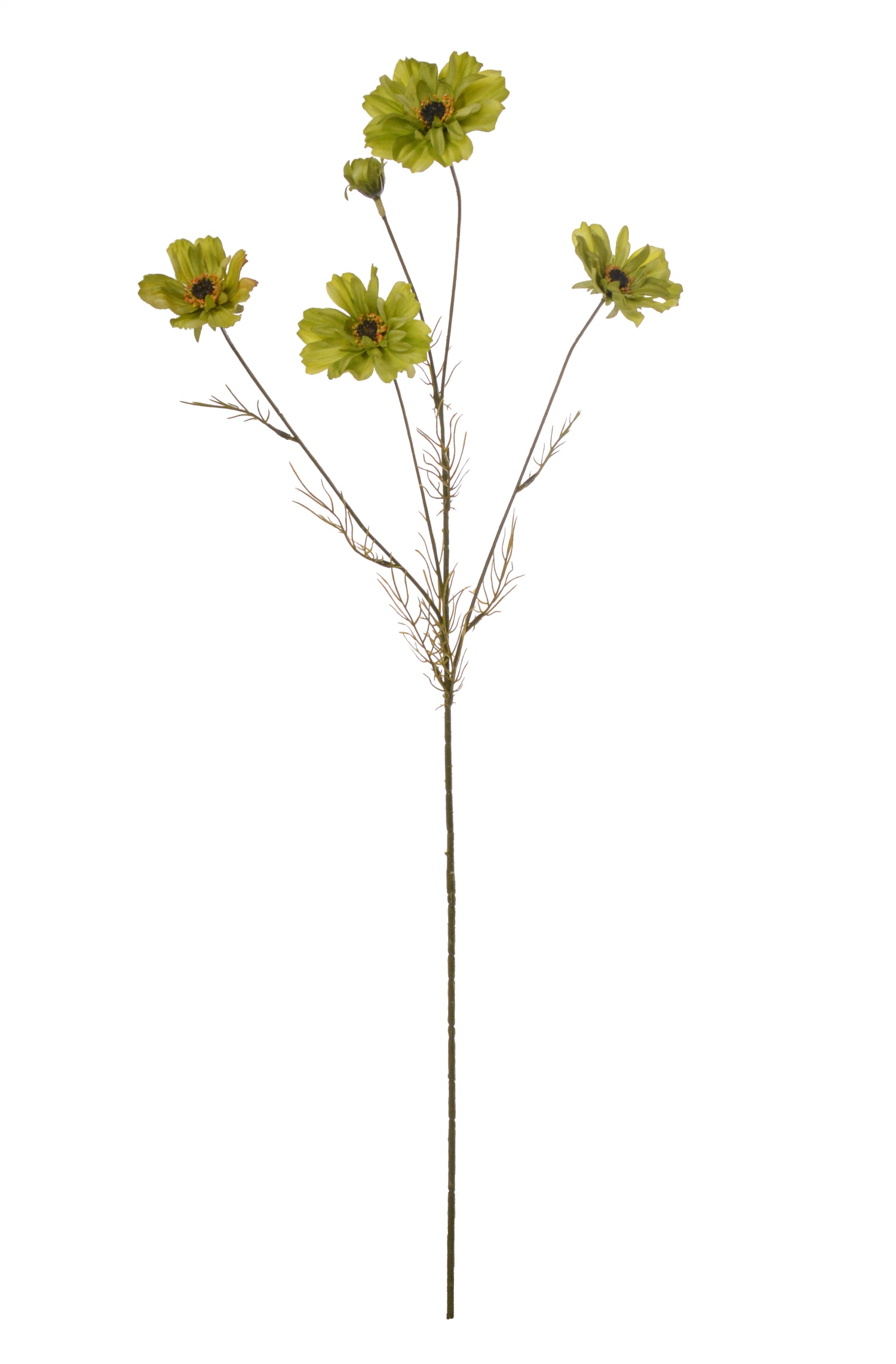 32" Cosmos Spray Green