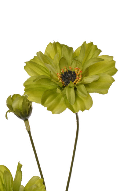 32" Cosmos Spray Green