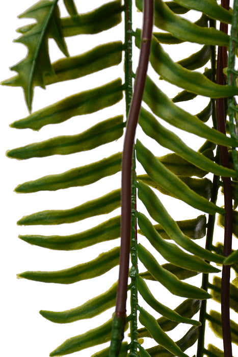 43" Fern Hanging Bush Green