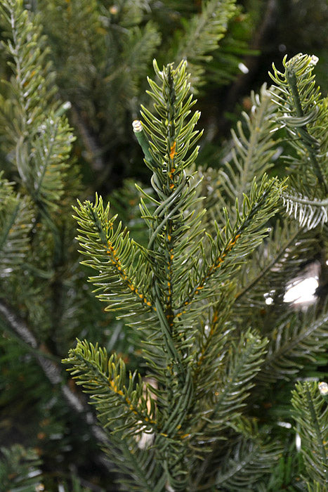 9Ft x 64" Belgium Pine Tree W/1200 Lights Green