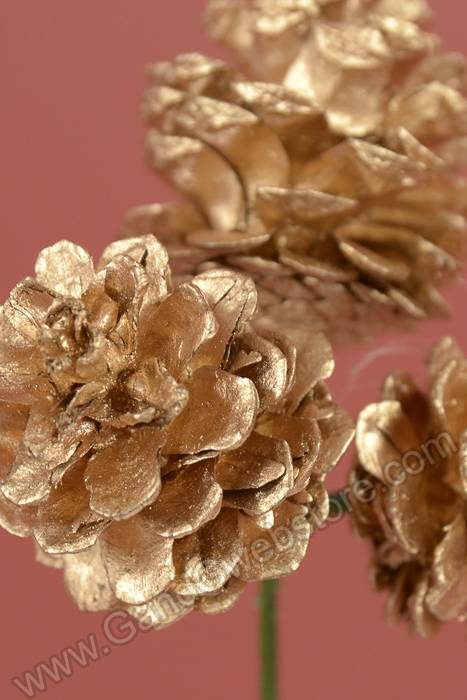1.5" Natural 3 Pine Cone Pick Gold Pkg/12