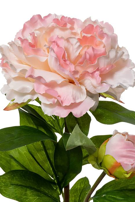 29.5" Silk Peony Spray W/bud Light Pink