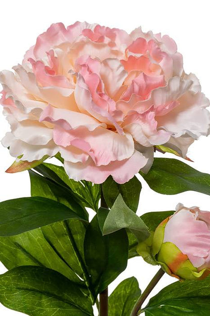 29.5" Silk Peony Spray W/bud Light Pink